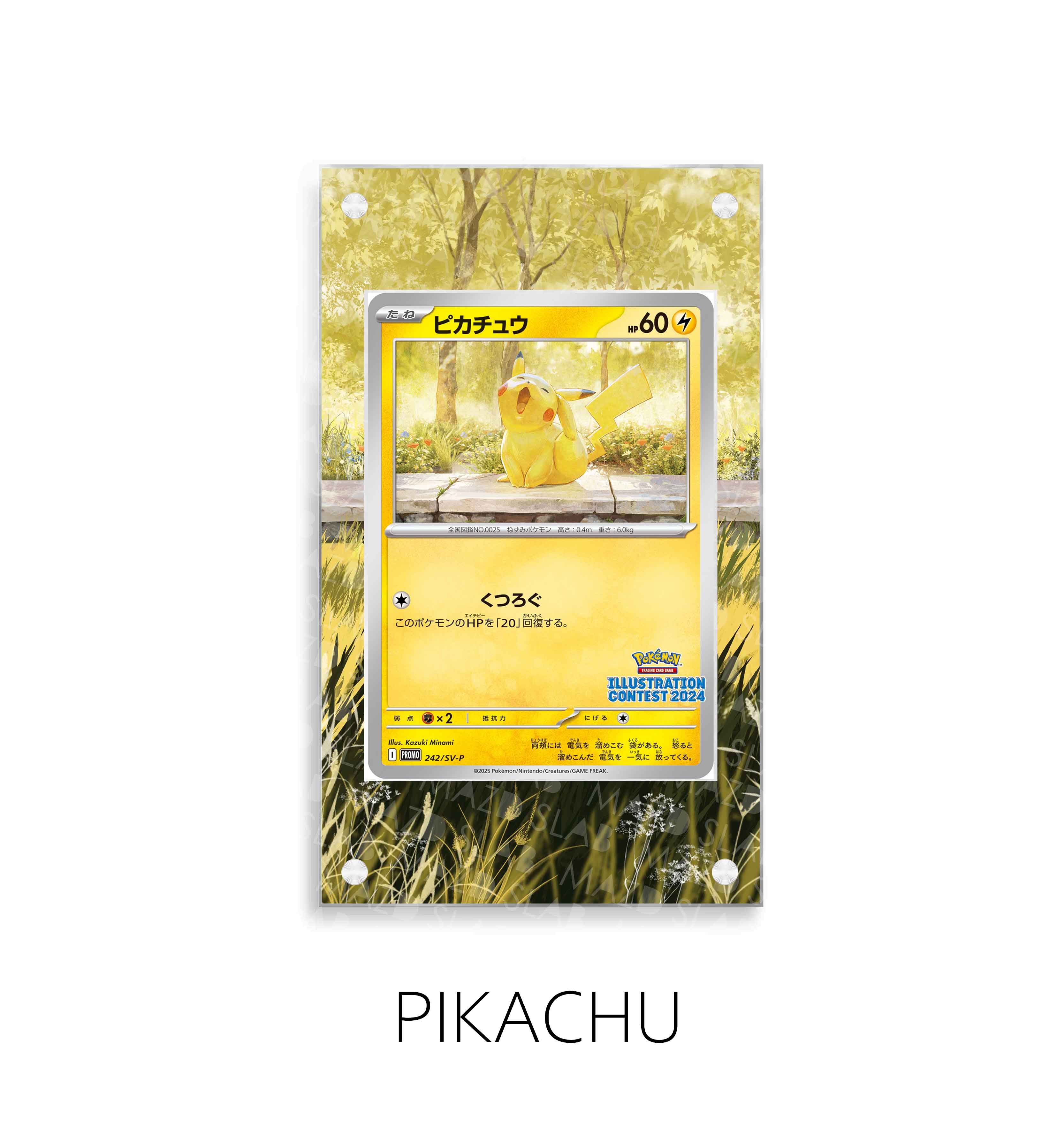 Pikachu Promo Contest P149