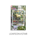 Leafeon Vstar P153