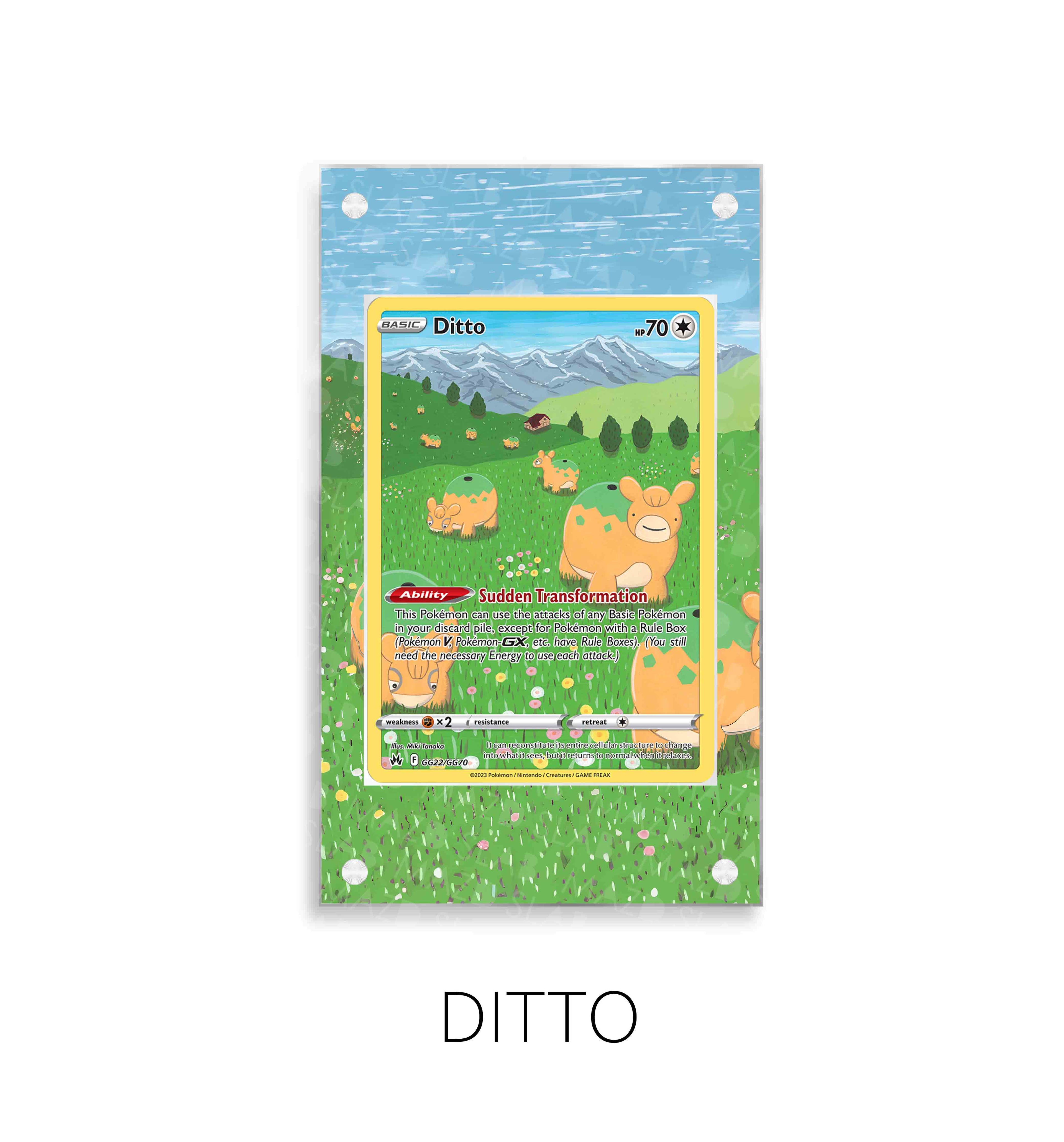 Ditto P2