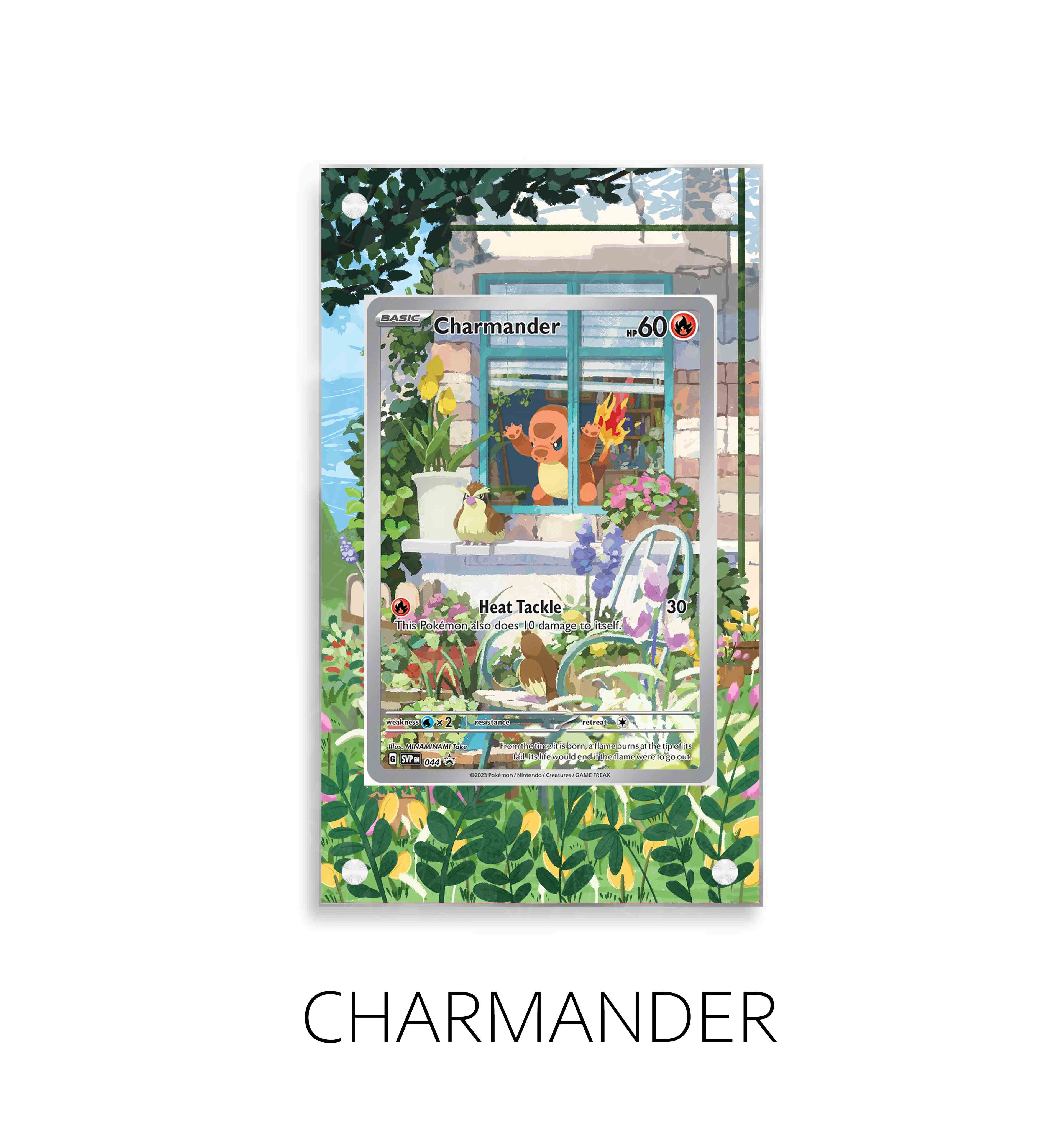 Charmander P21