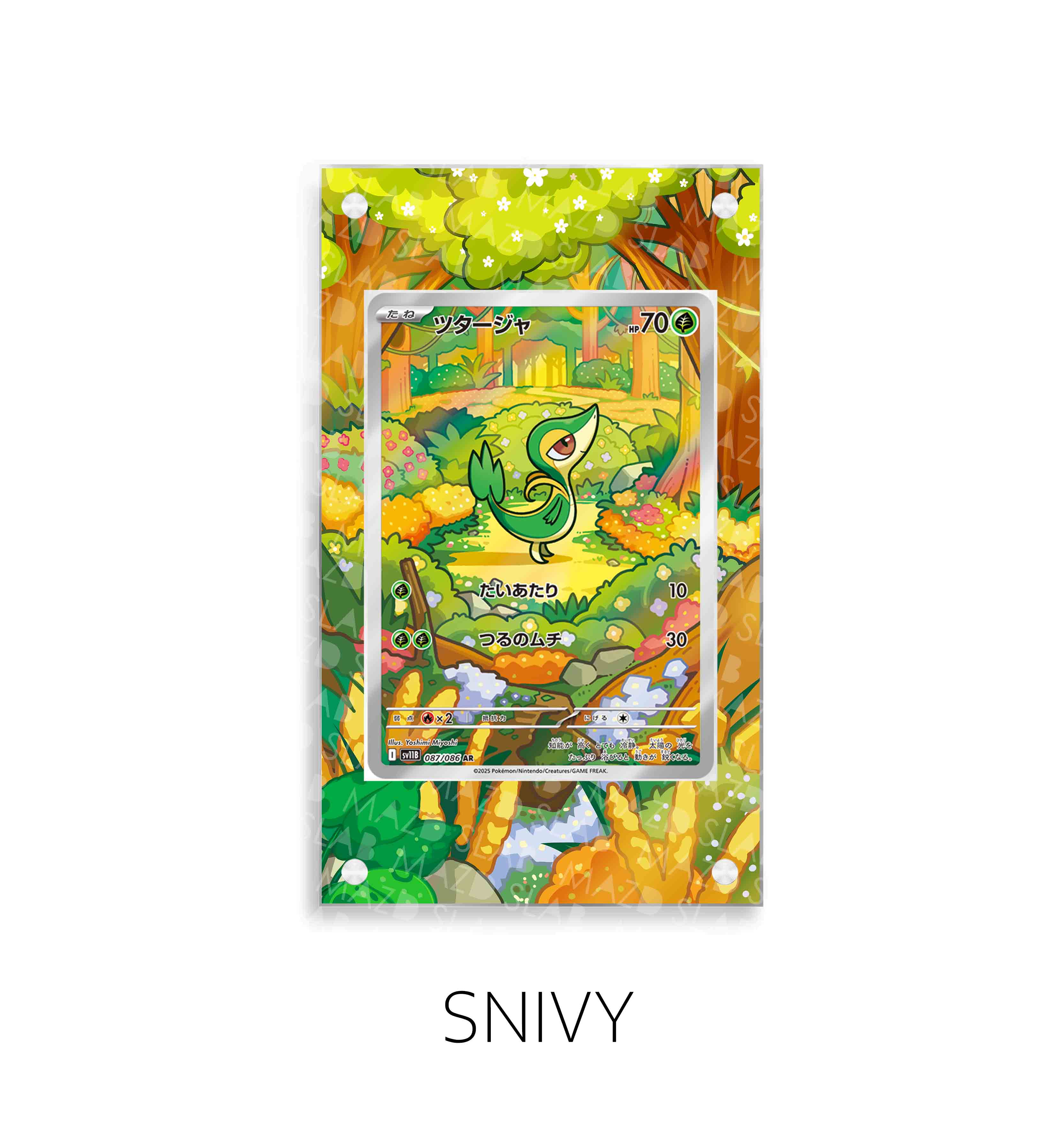 Snivy P213