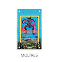 Moltres P269