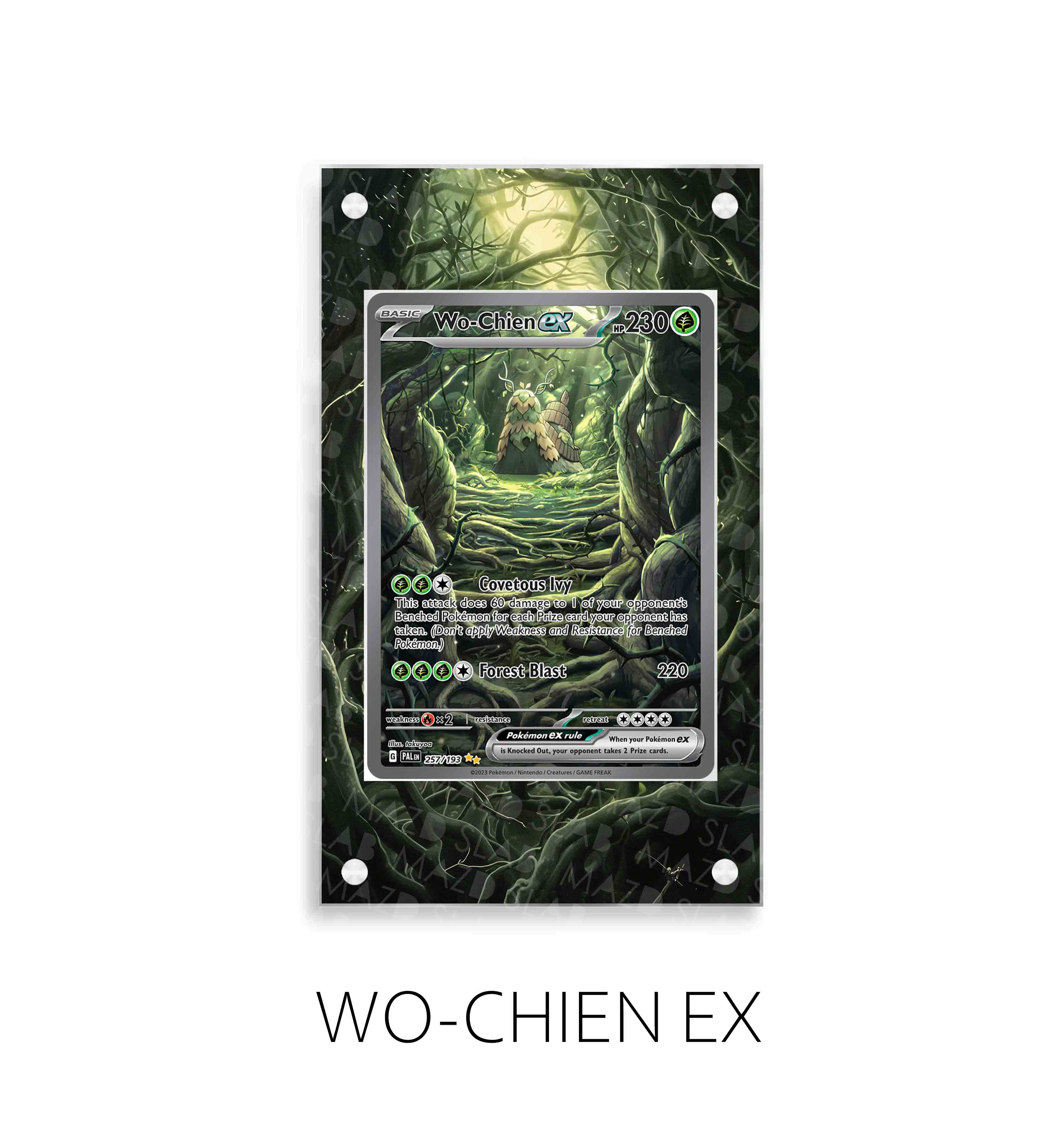 Wo-Chien Ex P272