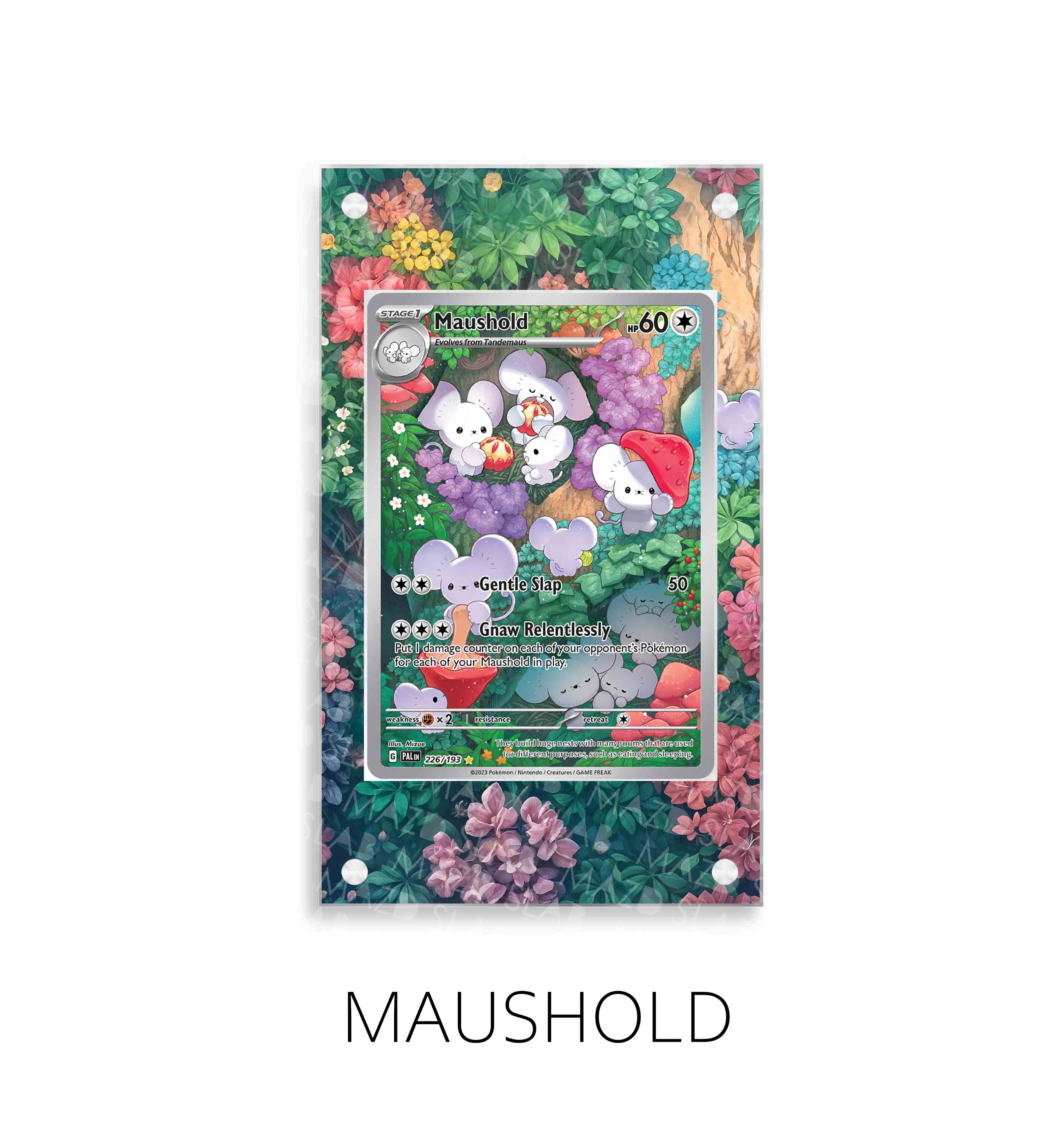 maushold P276