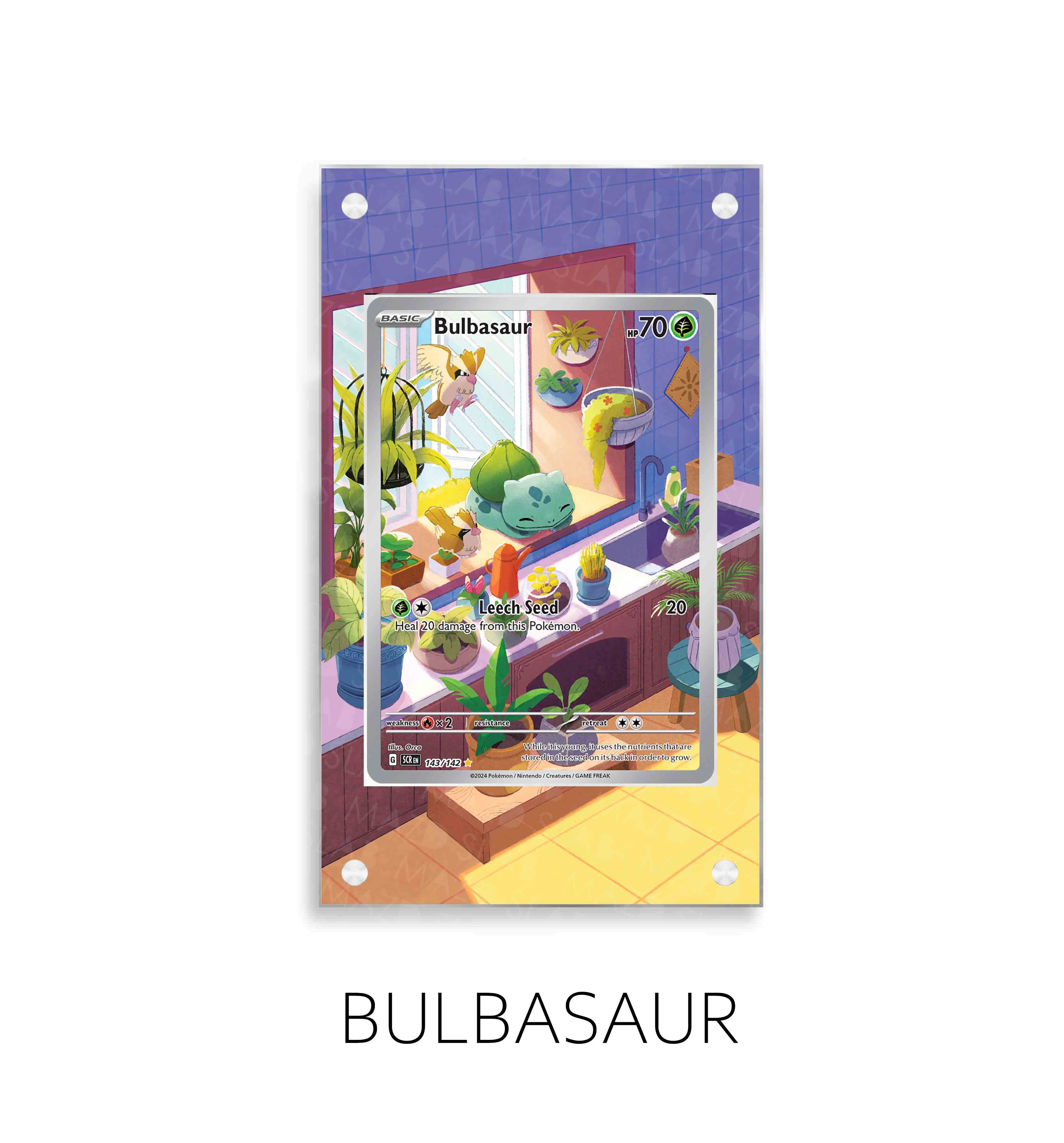 Bulbasaur P28