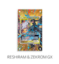 Reshiram & Zekrom Gx P291