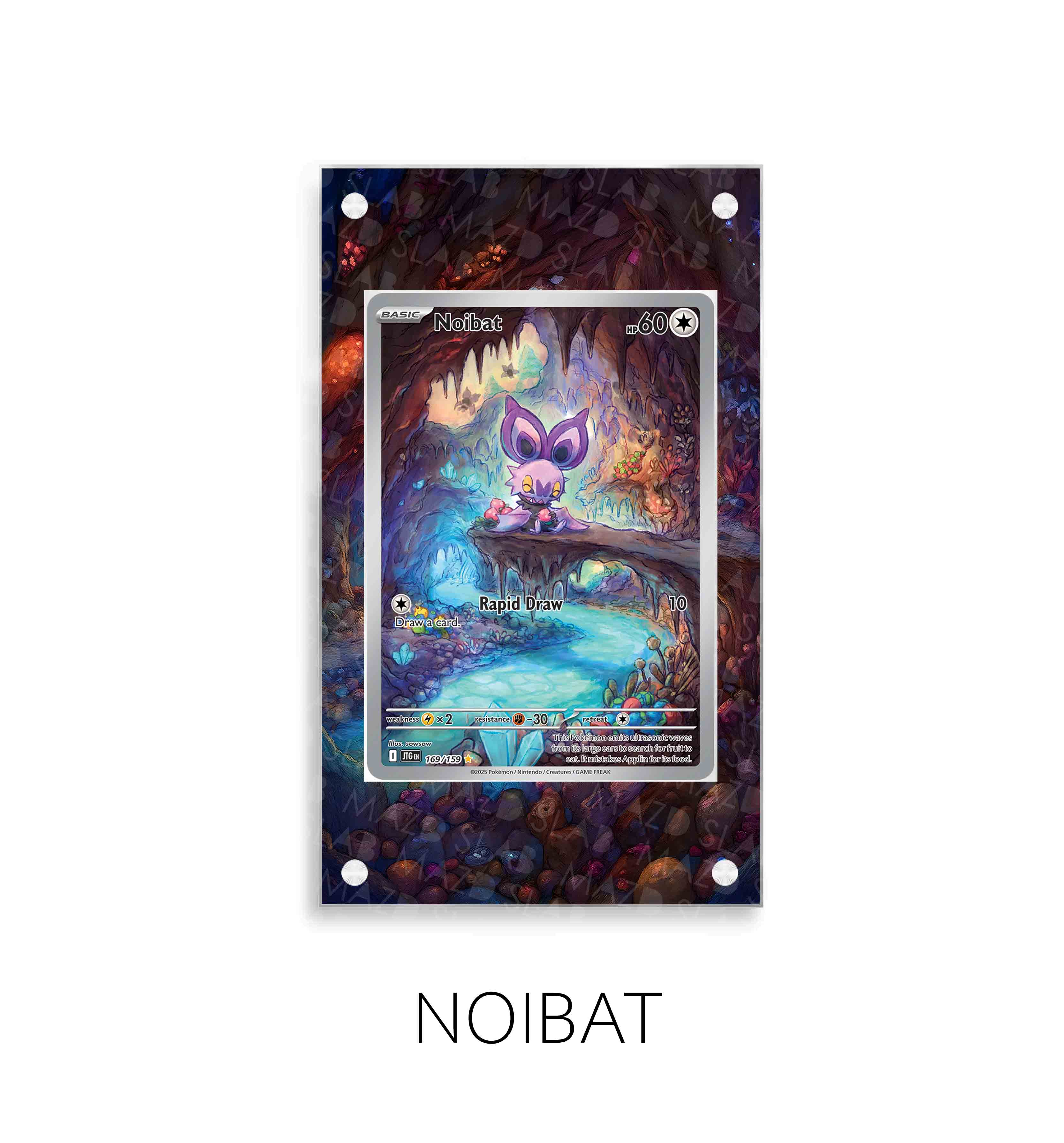 Noibat P293