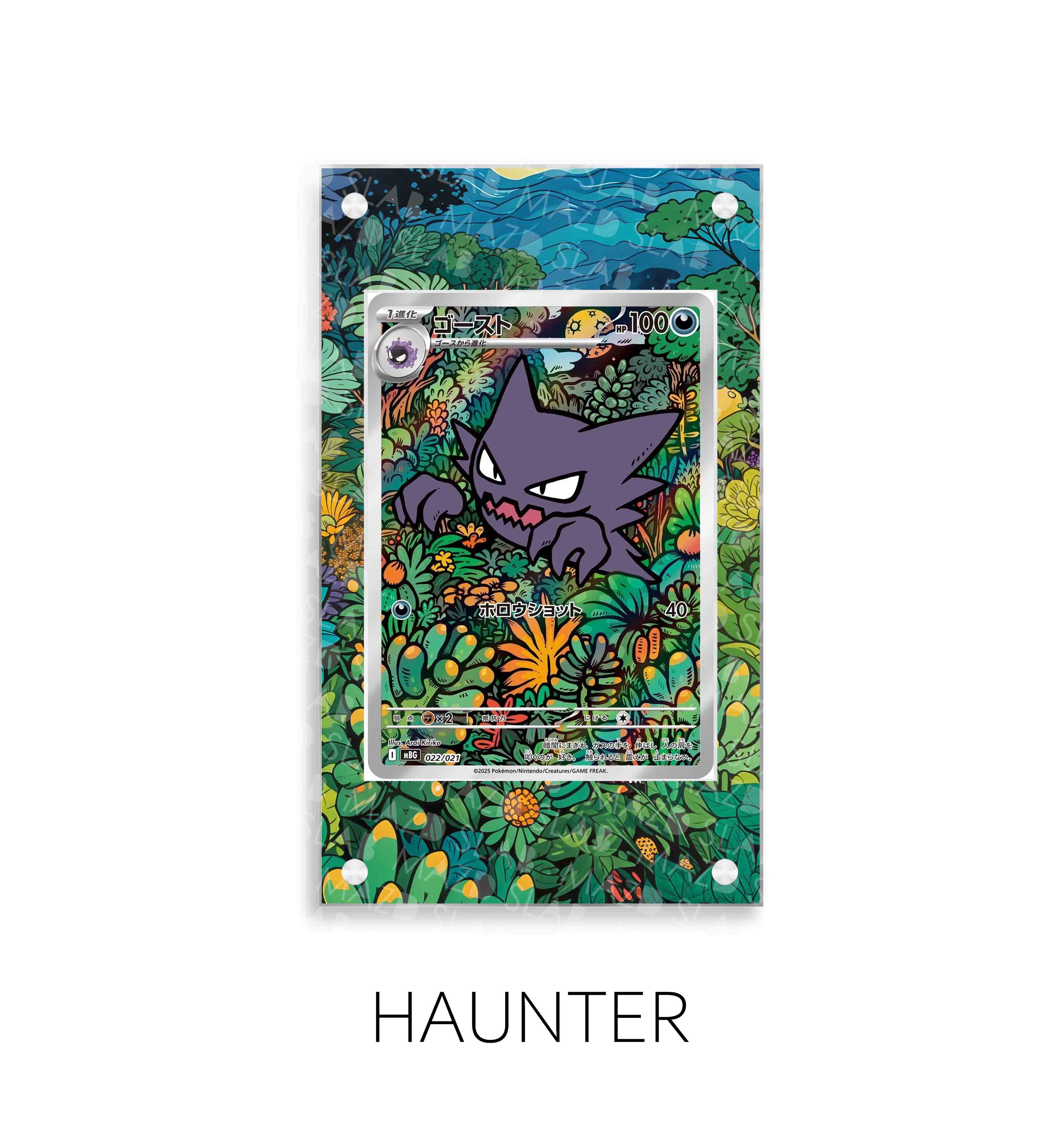 Haunter  P317