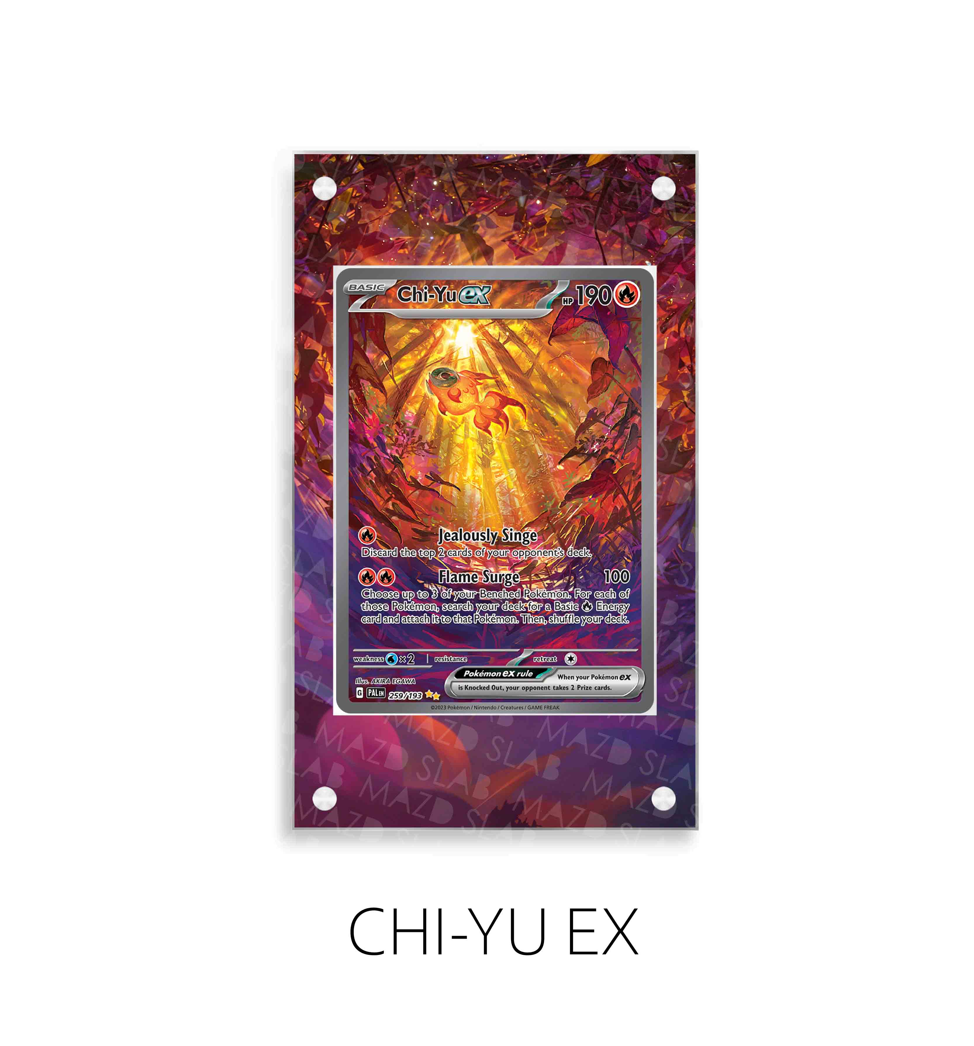 Chi-Yu Ex P318