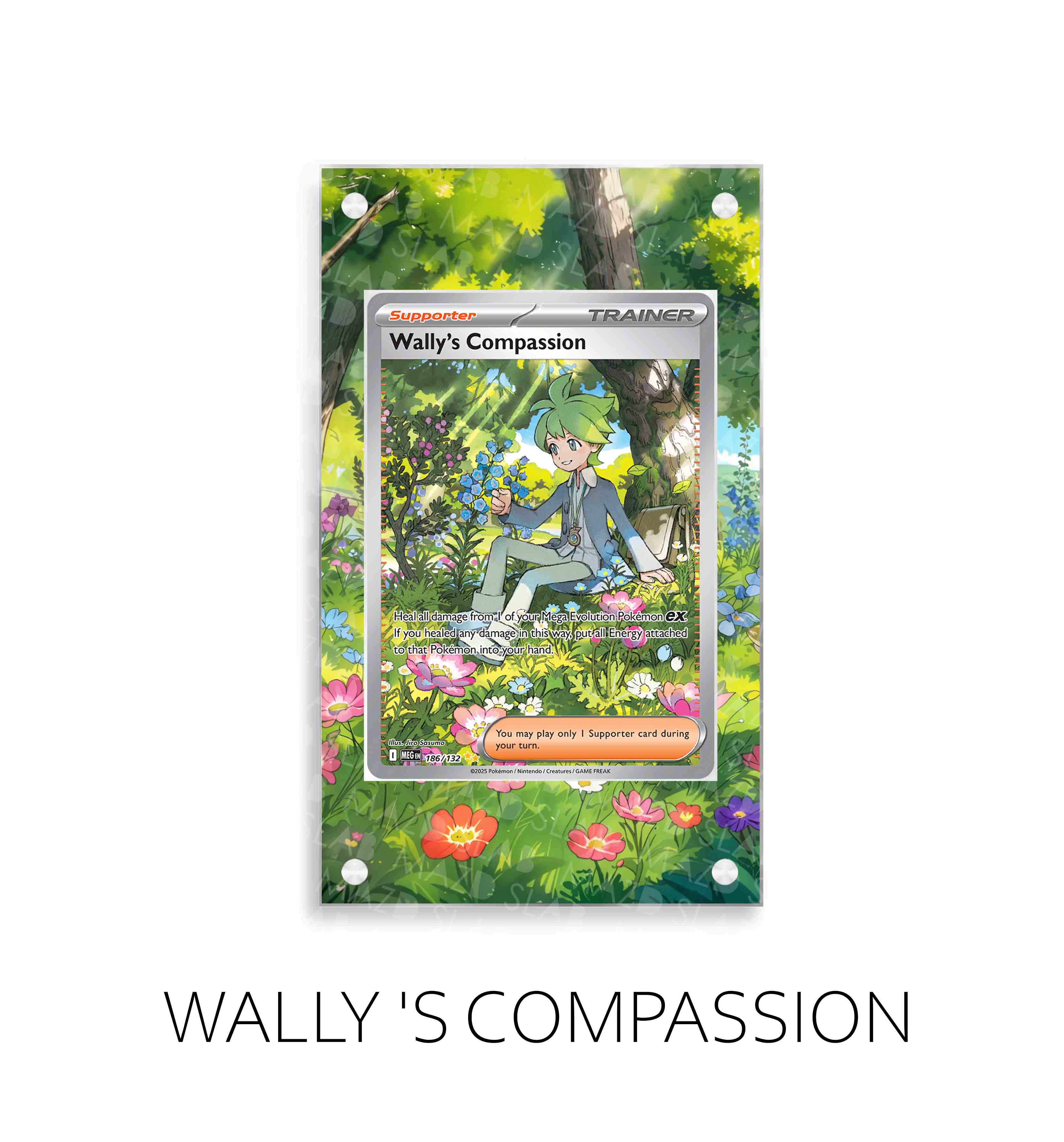 Wally 's Compassion P330