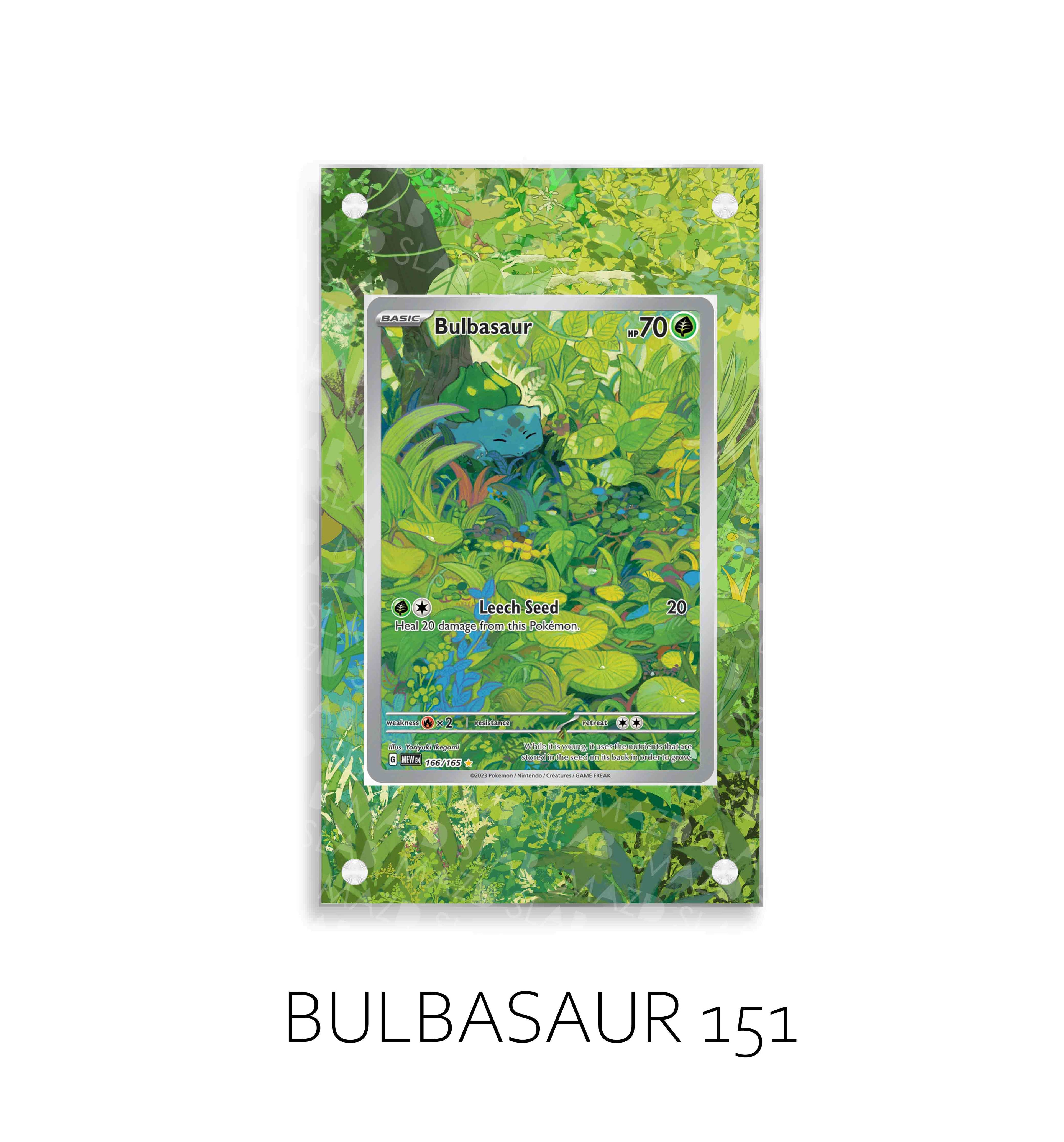 Bulbasaur P34