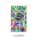 Loudred P347
