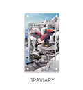 Braviary P370