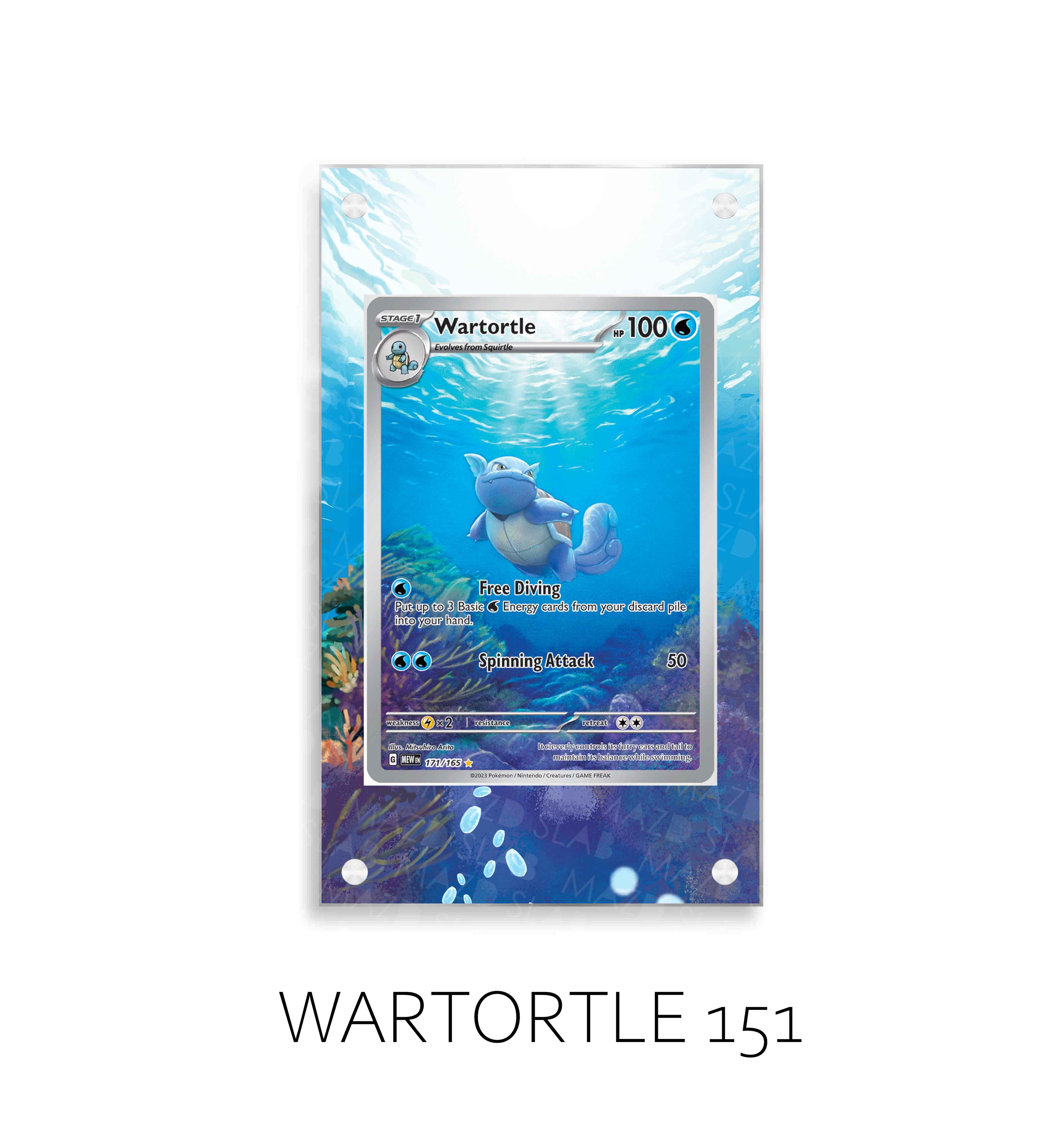 Wartortle P38