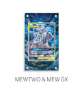 Mewtwo & Mew Gx P396