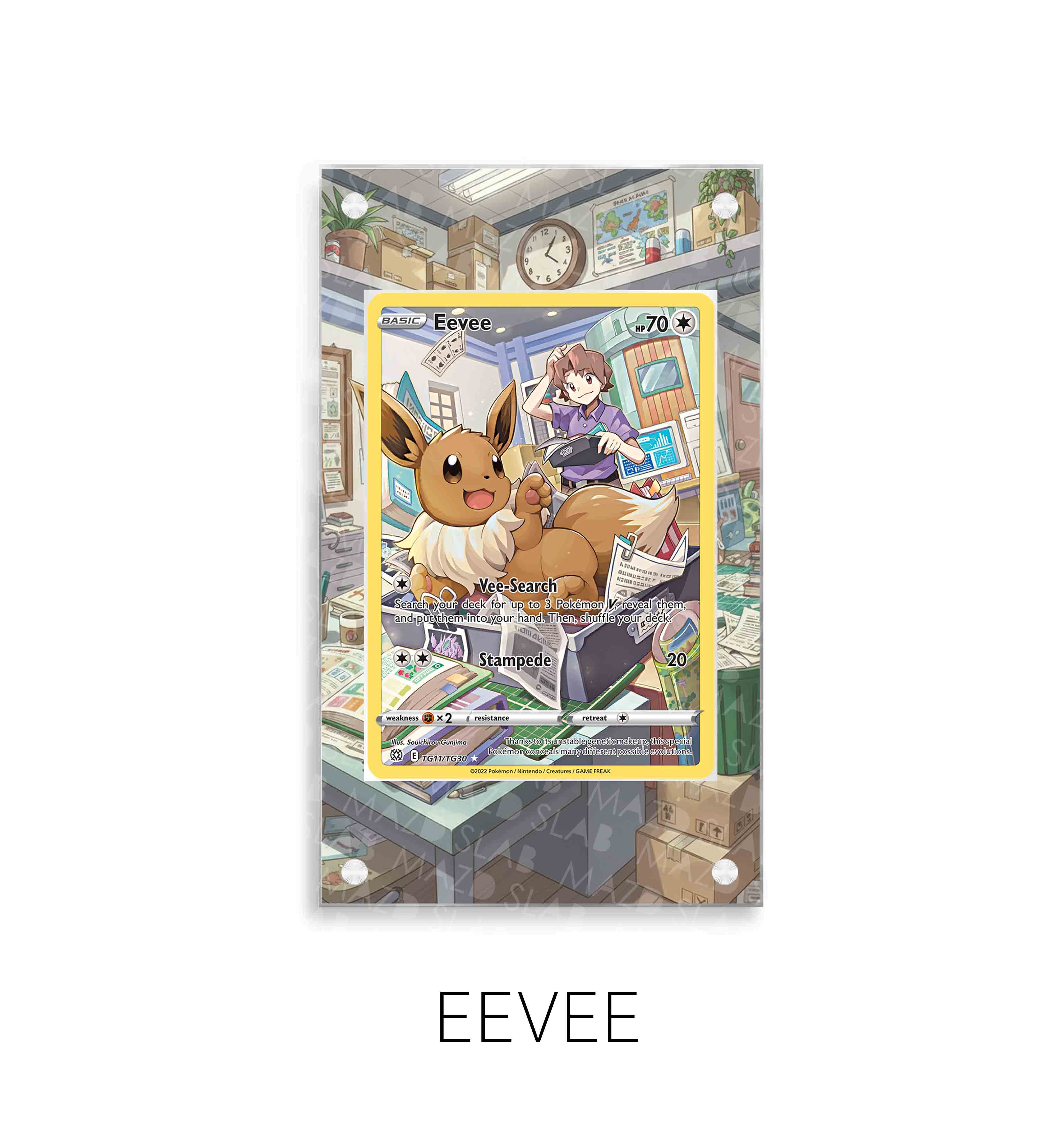 Eevee P404
