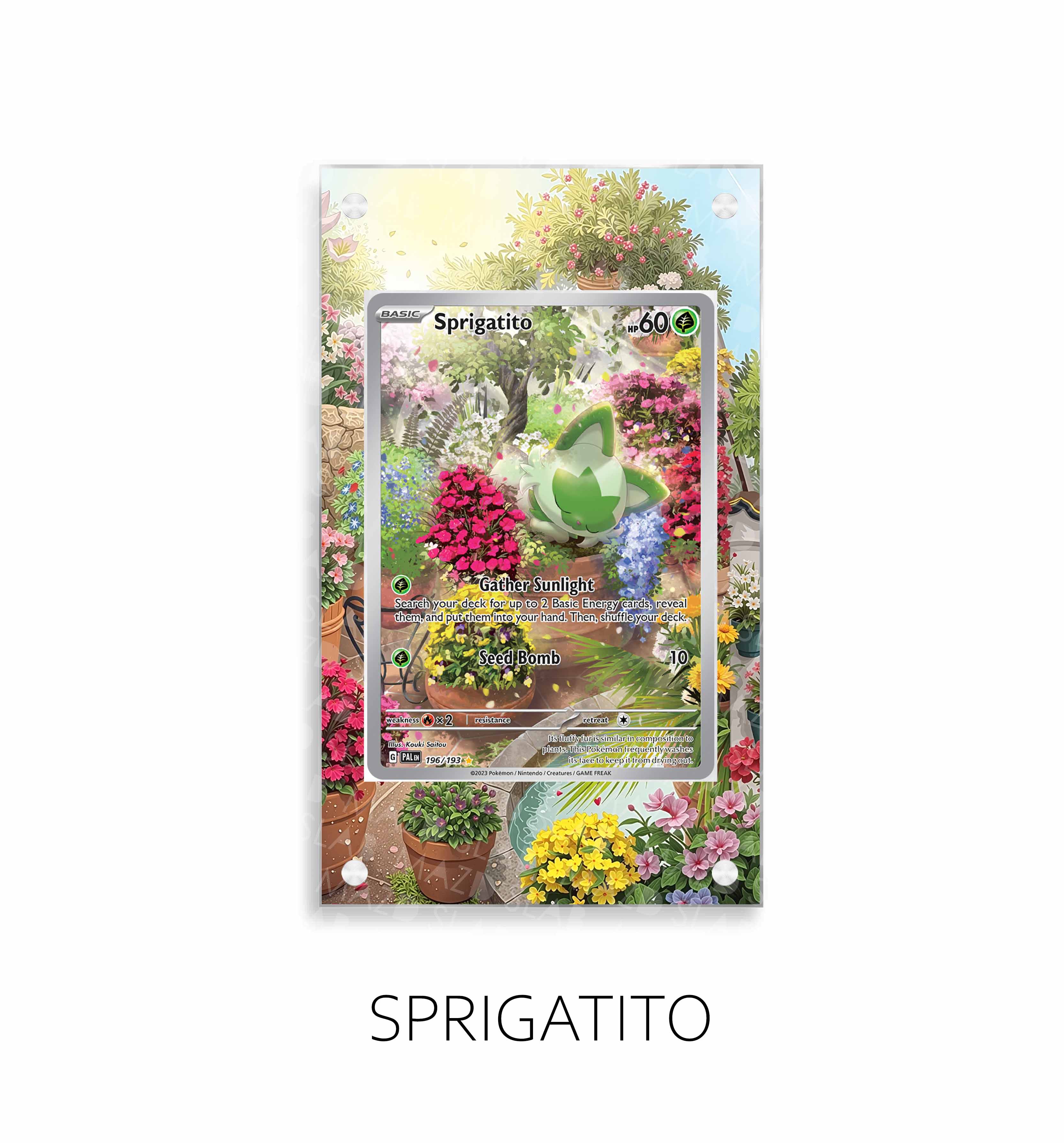 Sprigatito P489