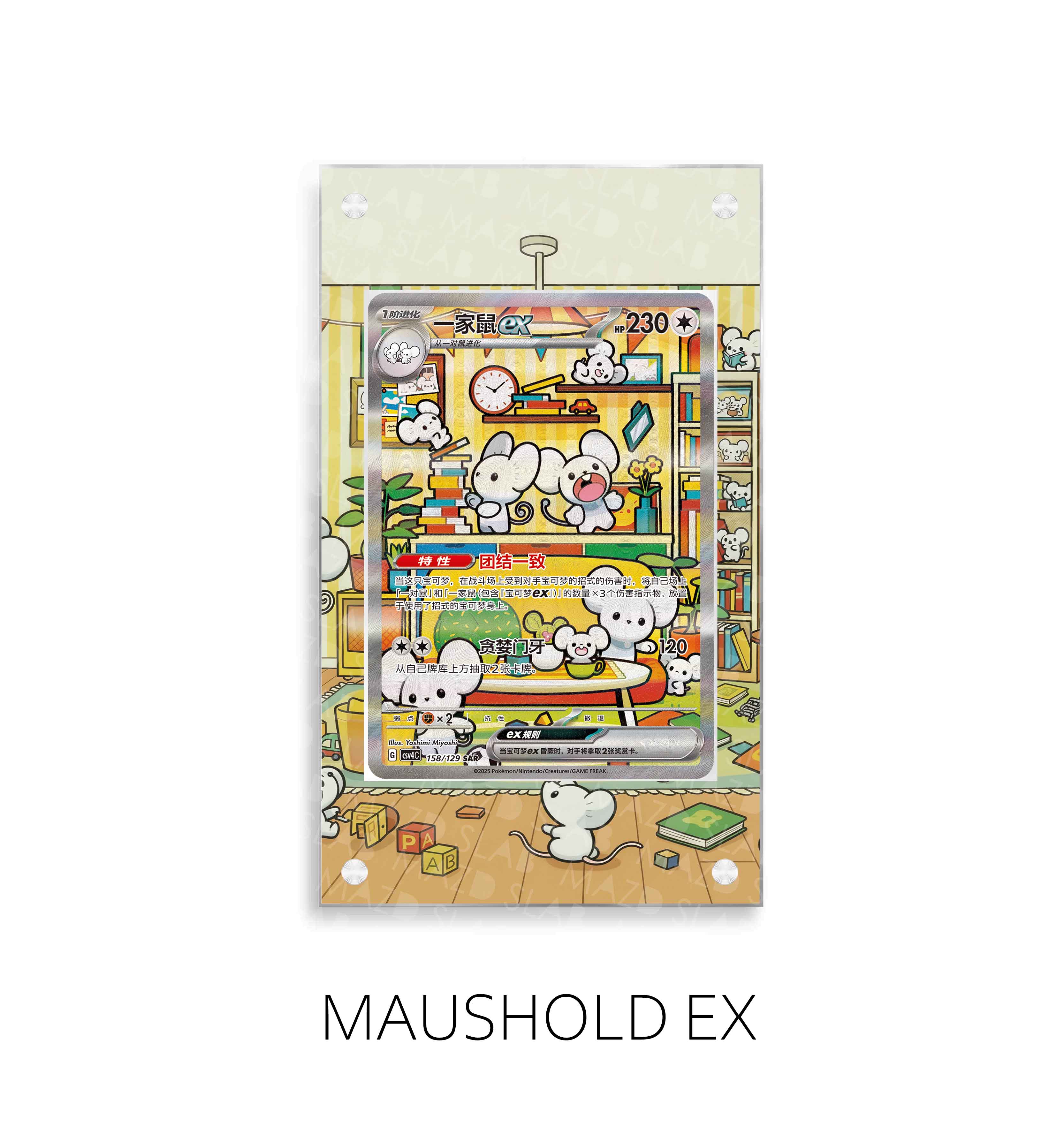 Maushold Ex P493
