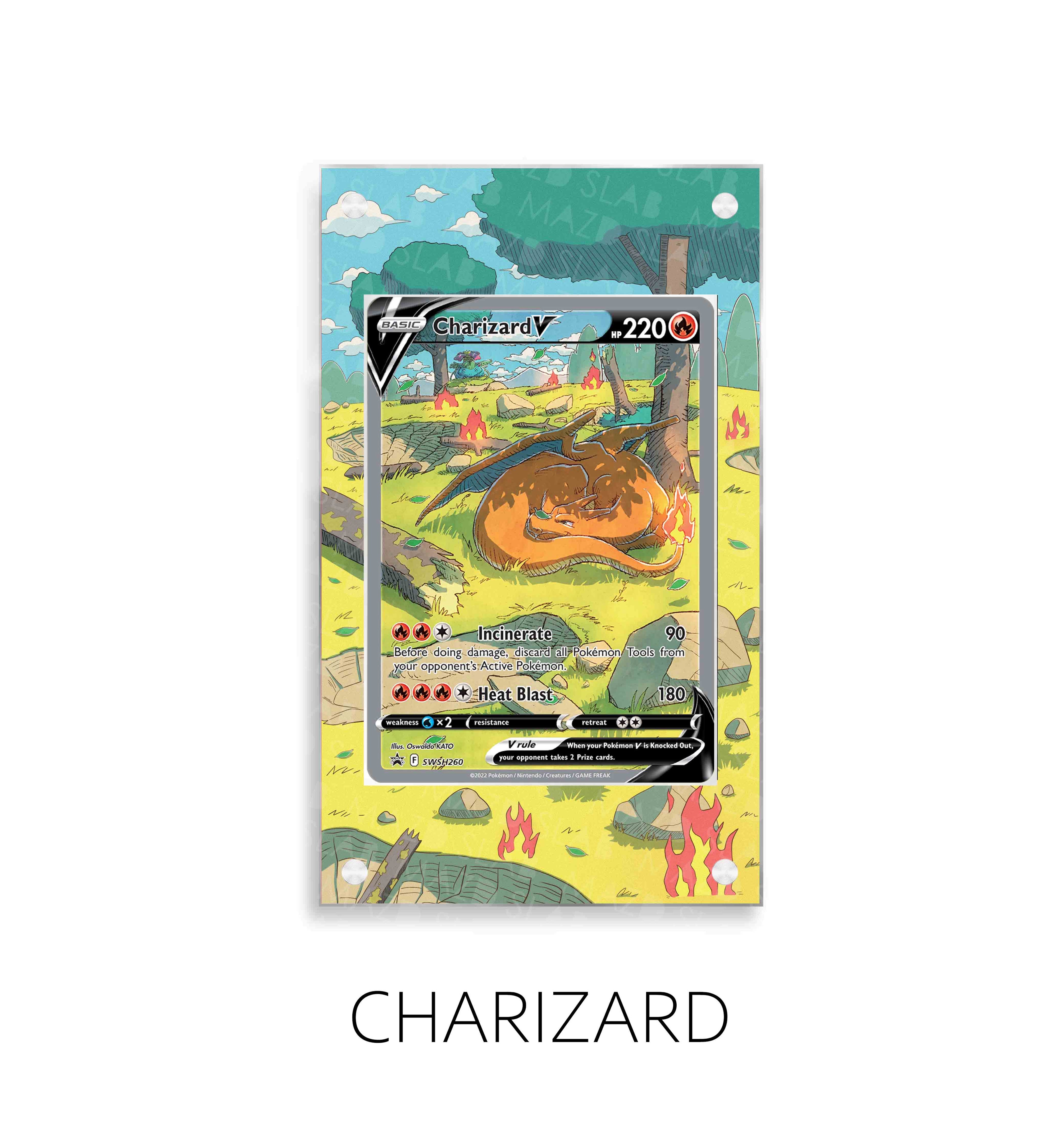 Charizard P8