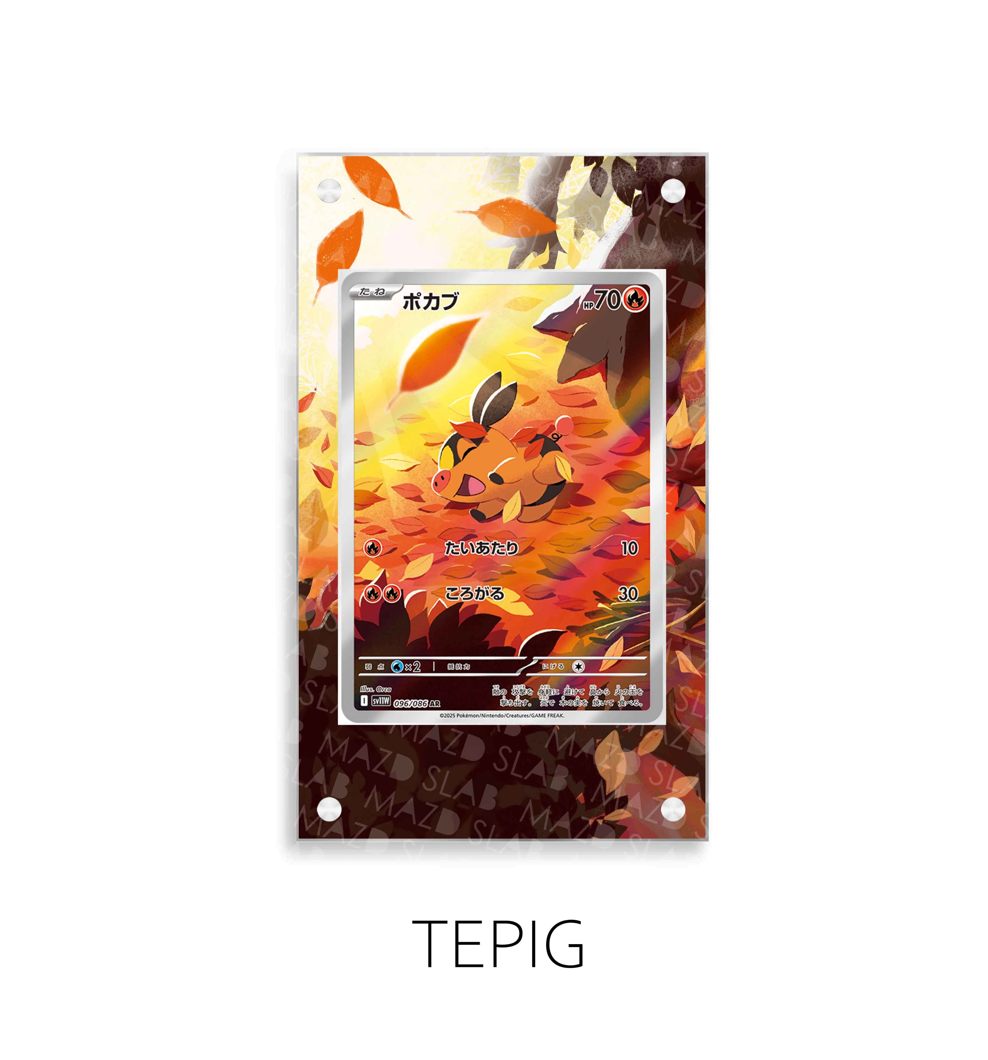 Tepig P216